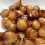 Oignons Confits